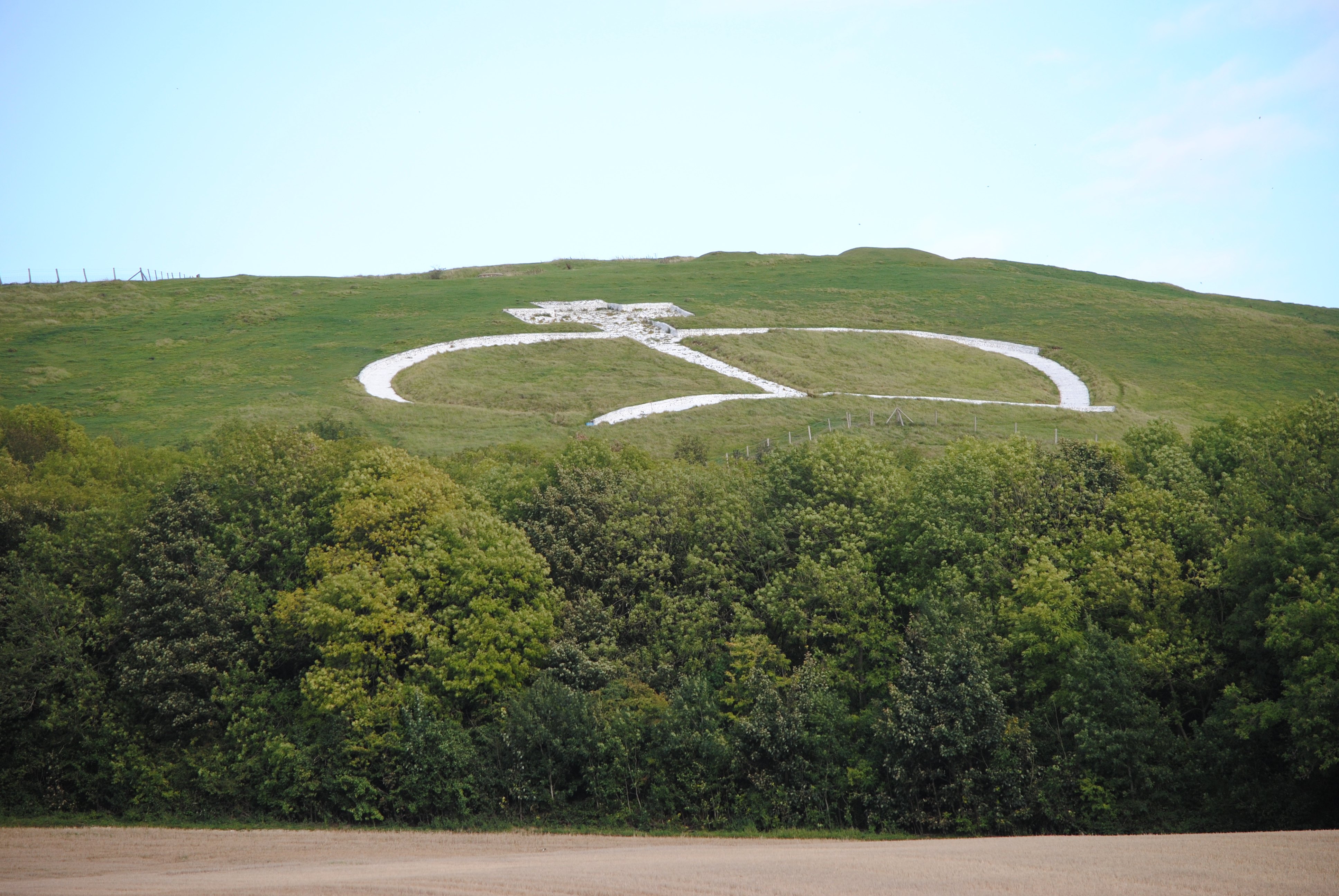 North Downs Way Wye Crown.(c)JPG.jpg