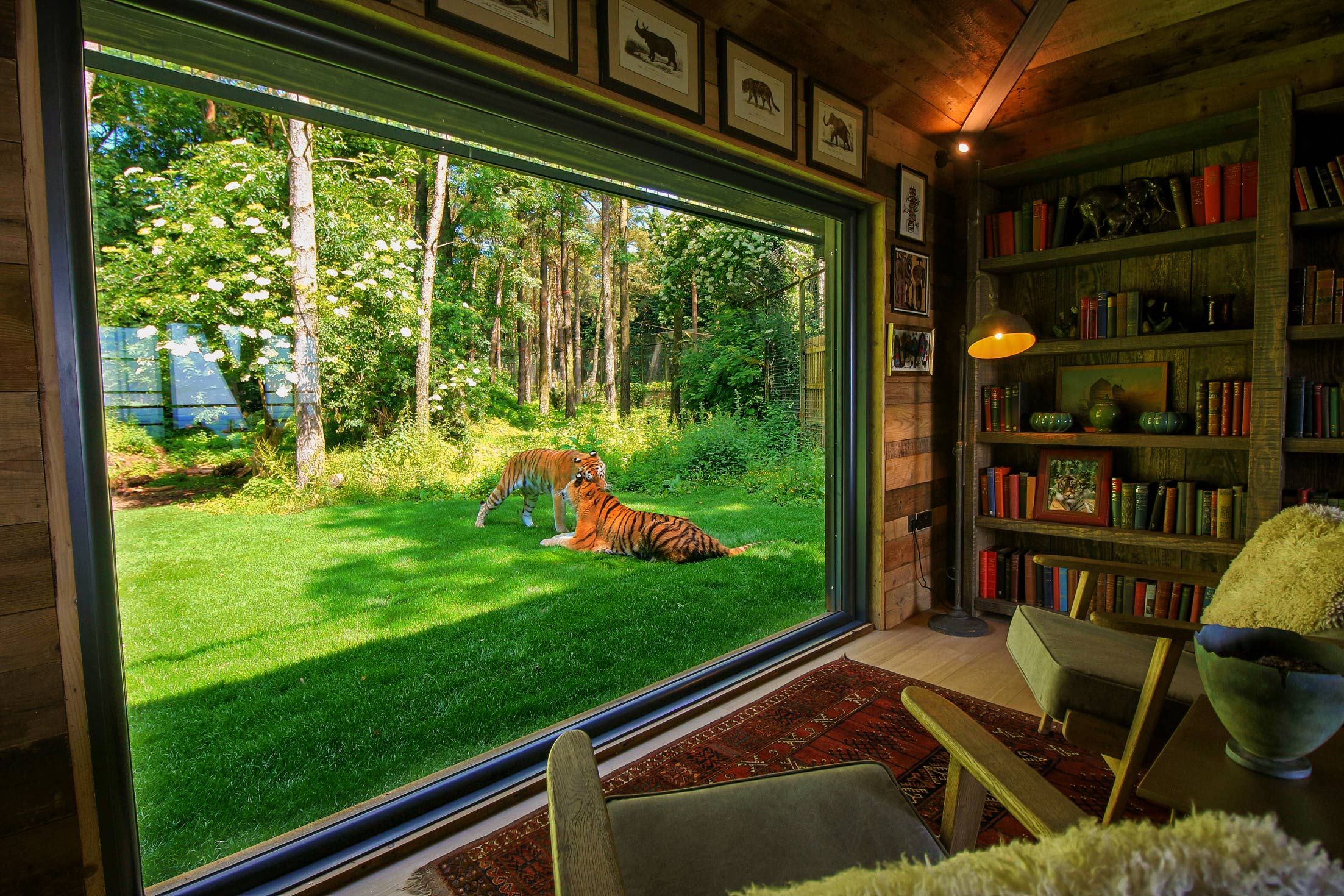 Tiger Lodge at Port Lympne Reserve Living Area Second View - Low Res.jpg