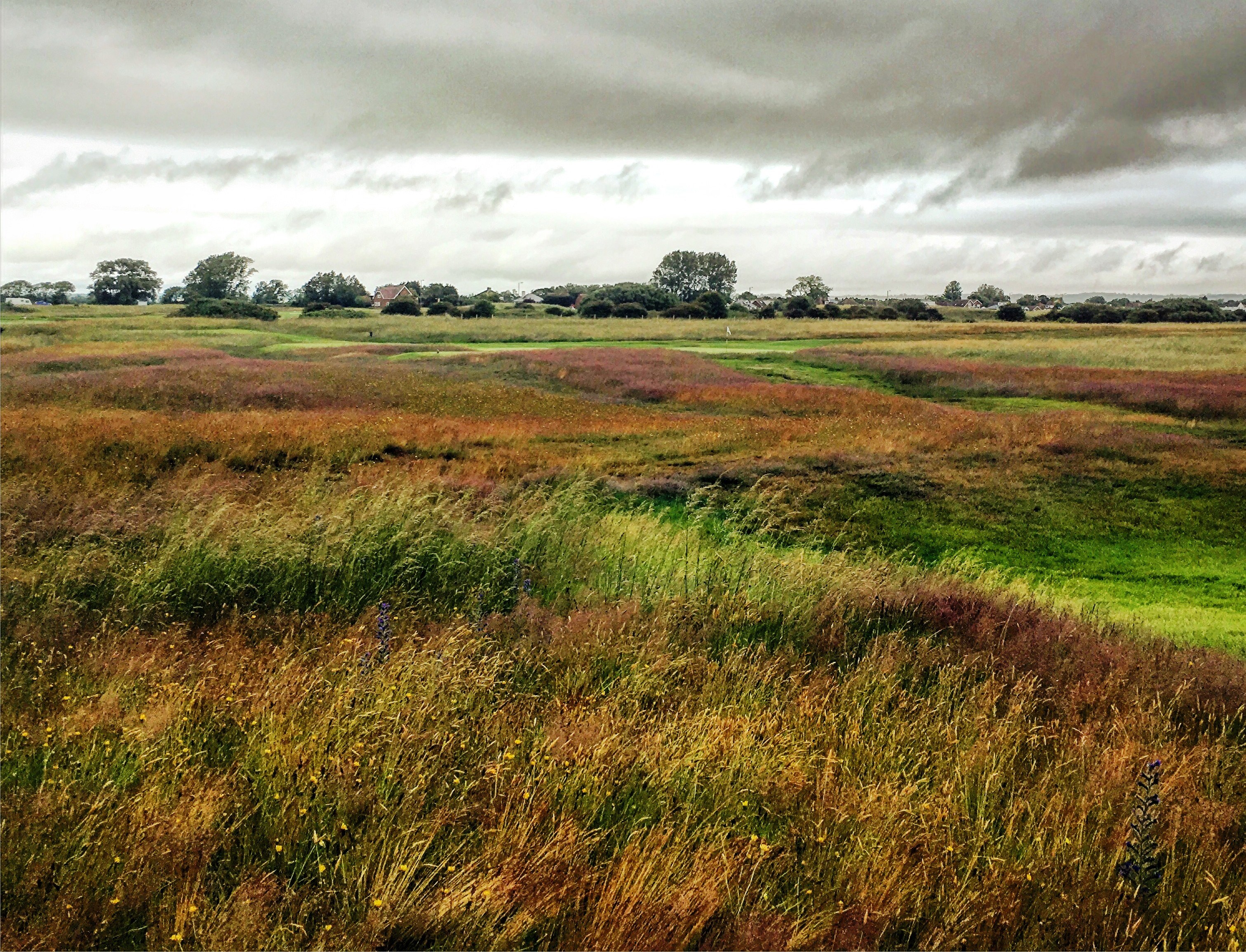 Littlestone Golf Course near Romney Marsh.jpg