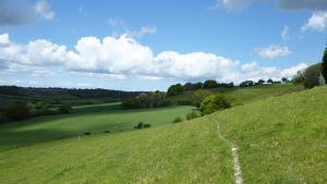 1-explore-kents-elham-walk.jpg