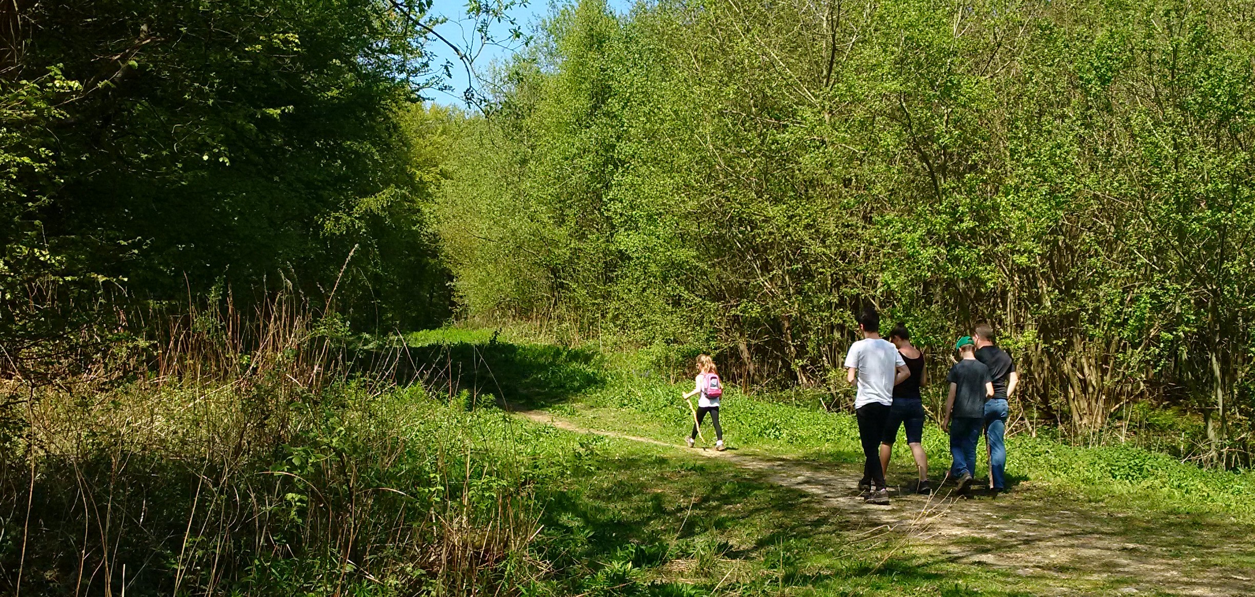 West Wood Walkers.jpg