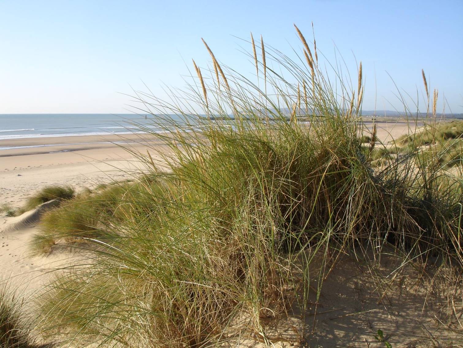 Camber Beach 1.jpg