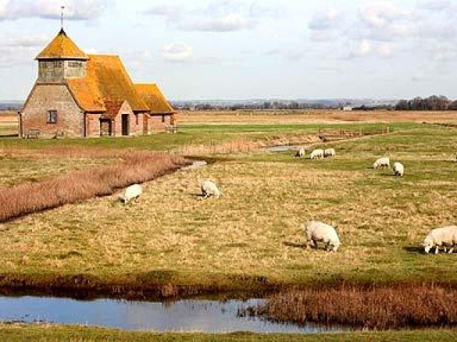 Romney Marsh.jpg
