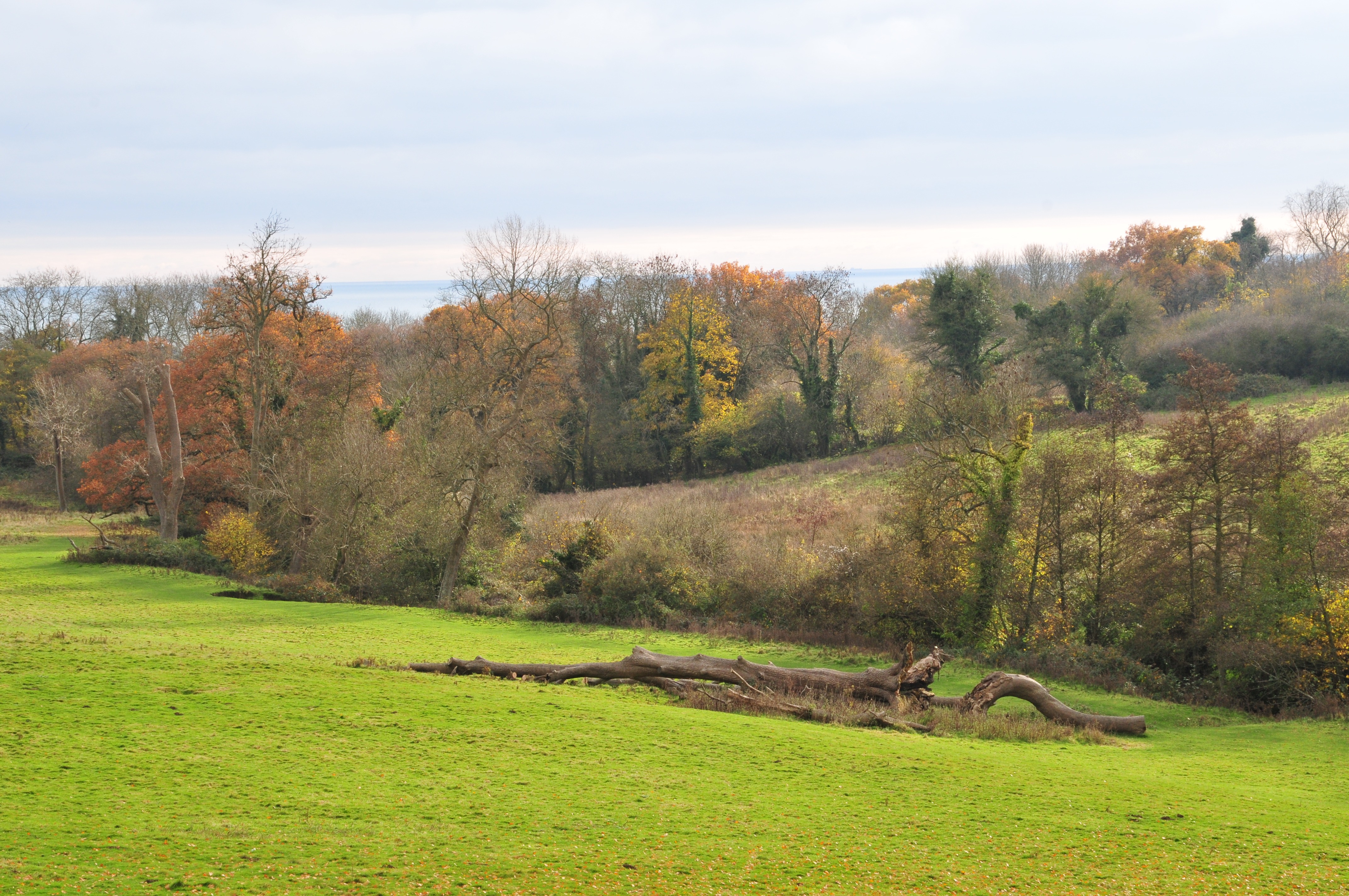 brockhill-country-park-3.jpg (1)