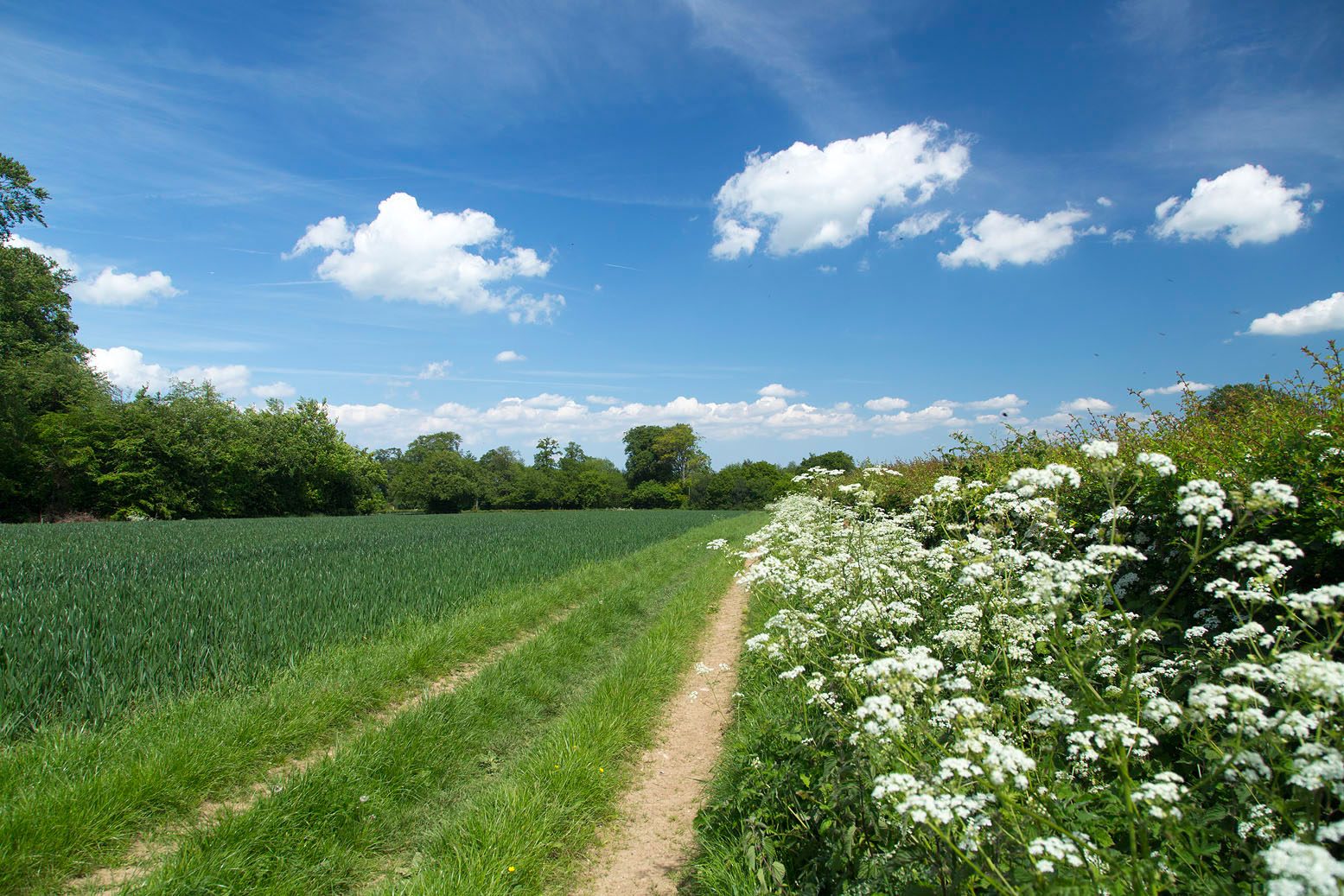 North Downs Way at Knockholt-1.jpg